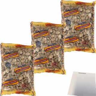 Dos Hermanos Geröstete Mandeln mit Salz geschält 3er Pack (3x500g Packung) + usy Block