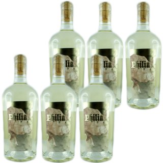 6x Villa Wolf Sauvignon Blanc "Philia" trocken, 750 ml