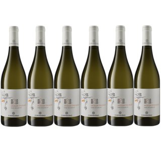 6x Costantino Aria "Müller Thurgau" Terre Siciliane, 750 ml