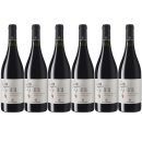 6x Costantino Aria "Nero Davola" Terre...