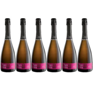 6x La Delizia Naonis "Prosecco Rosé extra dry" DOC, 750 ml