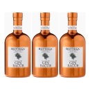 3x Bottega Bacur Distilled Dry Gin, 500 ml
