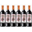 6x Bodegas Peñafiel Baron De Filar...