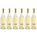 6x Bodegas Habla "Habla de TI" Sauvignon Blanc...