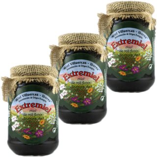 Extremiel Miel Villuercas Miel Multiflora de Montana "Bergblütenhonig" aus Spanien 3er Pack (3x500g Glas)