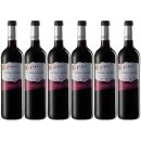 6x Bodegas Esteban Martin "Tinto DO Carinena"...