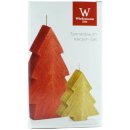 Wiedemann Kerzen-Set Tannenbaum (2-teilig),...
