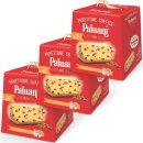 3x Paluani Panettone Soffice Zero Canditi "Panettone...