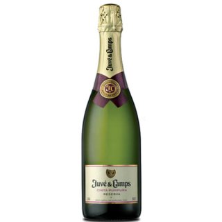 Juvé y Camps Reserva Brut "Cinta Purpura" Cava Spanischer Sekt, 750 ml