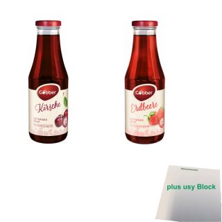 Göbber Getränkesirup Testpaket Erdbeer & Kirsch (je 1x0,5l Glasflasche) + usy Block