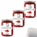 Le Bonta del Casale Sugo all Arrabbiata Tomatensauce mit Peperoncino (3x290g Glas) + usy Block
