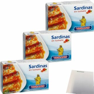 Vigilante Sardinen in Tomatensauce, Sardinas en tomate 3er Pack (3x120g Dose) + usy Block