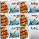 Vigilante Sardinen in Tomatensauce, Sardinas en tomate 6er Pack (6x120g Dose) + usy Block