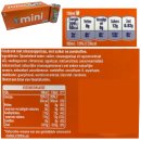 Fanta Orange (8x150ml Einweg Dose) NL