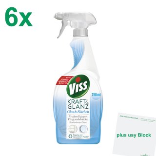 Viss Kraft&Glanz für Glas&Flächen 6er Pack (6x750ml) + usy Block