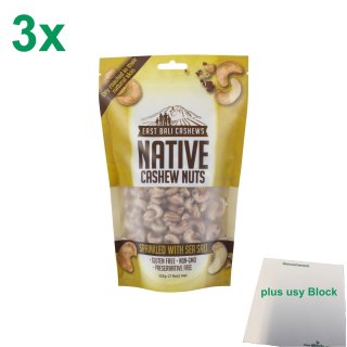 East Bali Cashews Native Cashew Nuts sprinkled with sea salt 3er Pack (3x225g Beutel) + usy Block