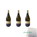 Medici Ermete Frizzantino Dolce IGT "Vino Frizzante Bianco Dell Emilia" 3er Pack (3x1,5l Flasche) + usy Block