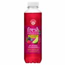 Teekanne Fresh Waldbeere Limette  DPG  (1x0,5L)