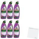 Frosch Urinstein und Kalk Entferner Lavendel 6er Pack...