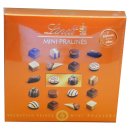 Lindt Mini Pralinés 100g Packung (blau)