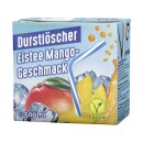 Durstlöscher Eistee Mango VPE (12x 0,5l Packung)