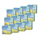 Durstlöscher Eistee Zitrone VPE (12x0,5L Packung)