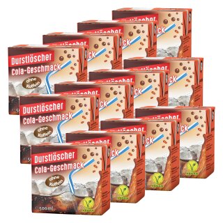 Durstlöscher Cola VPE (12x0,5l Packung)