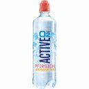 Active O2 Pfirsich Weißer Tee VPE (8x750ml Flasche)