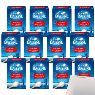 La Baleine Meersalz grob VPE (12x1000g Packung) + usy Block