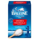 La Baleine Meersalz grob VPE (12x1000g Packung) + usy Block