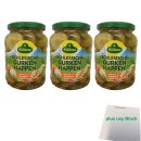 Kühne Schlesische Gurkenhappen mit Zwiebeln und Dill 3er Pack (3x 670g Glas) + usy Block