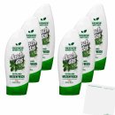 Duschdas 2in1 Duschgel & Shampoo Wiesenfrisch 6er Pack (6x250ml Flasche) + usy Block