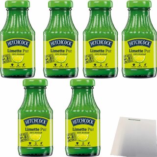 Hitchcock Limette Pur 6er Pack (6x200ml Flasche) + usy Block