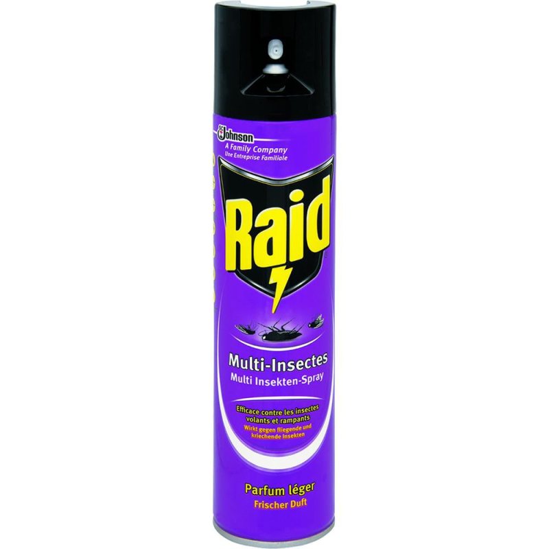 Raid Multi Insekten Spray gegen fliegende und kriechende Insekten (40
