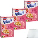 Dr. Oetker Vitalis Joghurtmüsli mit Erdbeerstückchen 3er Pack (3x600g Packung) + usy Block
