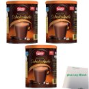 Nestle Feinste heiße Schokolade Caramel 3er Pack (3x250g Dose) + usy Block