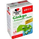 Doppelherz Ginkgo + B-Vitamine + Cholin 40 er