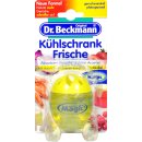 Dr. Beckmann Kühlschrank Frisch  40ml
