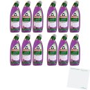 Frosch Urinstein und Kalk Entferner Lavendel 12er Pack...