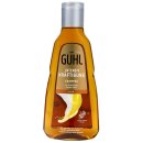 Guhl Shampoo Bier (250ml Flasche)