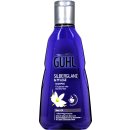 Guhl Shampoo Silberglanz Noni und Öl  250ml