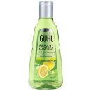 Guhl Shampoo Yuzu Zitrus  250ml