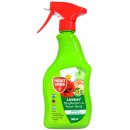 Protect Garden Zierpflanzen und Rosenspray  500ml