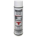 Recozit Spezial-Wespen Spray (500ml Sprühdose)