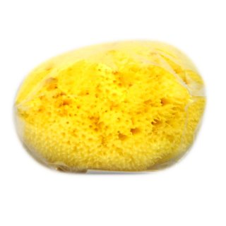 Schwamm Levantiner Make Up 5-8 cm