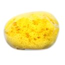 Schwamm Levantiner Make Up 5-8 cm