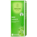Weleda Birken-Cellulite-Öl (100ml Packung)