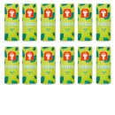 Thoms T icetea Green Tea (12x 250ml Dose)