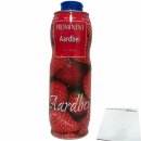 Prominent Siroop Aardbei Getränke-Sirup Erdbeere (750ml Dose) + usy Block