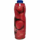 Prominent Siroop Aardbei Getränke-Sirup Erdbeere (750ml Dose) + usy Block